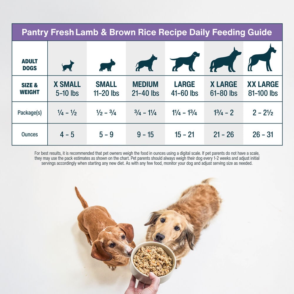 Pantry Fresh - Lamb & Brown Rice 12.5 oz Case (6 Pack)